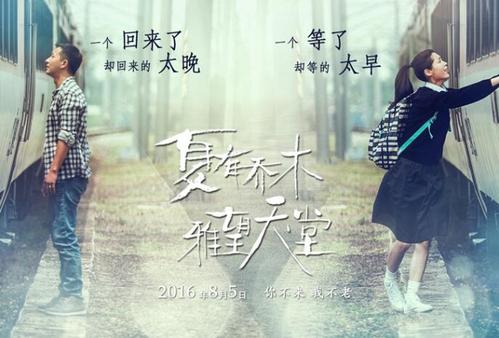 电子学历证书报告编号是什么